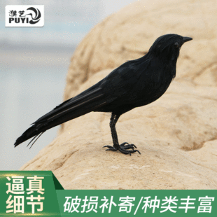 2019�¿������ë���f�f�}�����ߺ�ɫ���f�b��_��Ʊ��ë�B����
