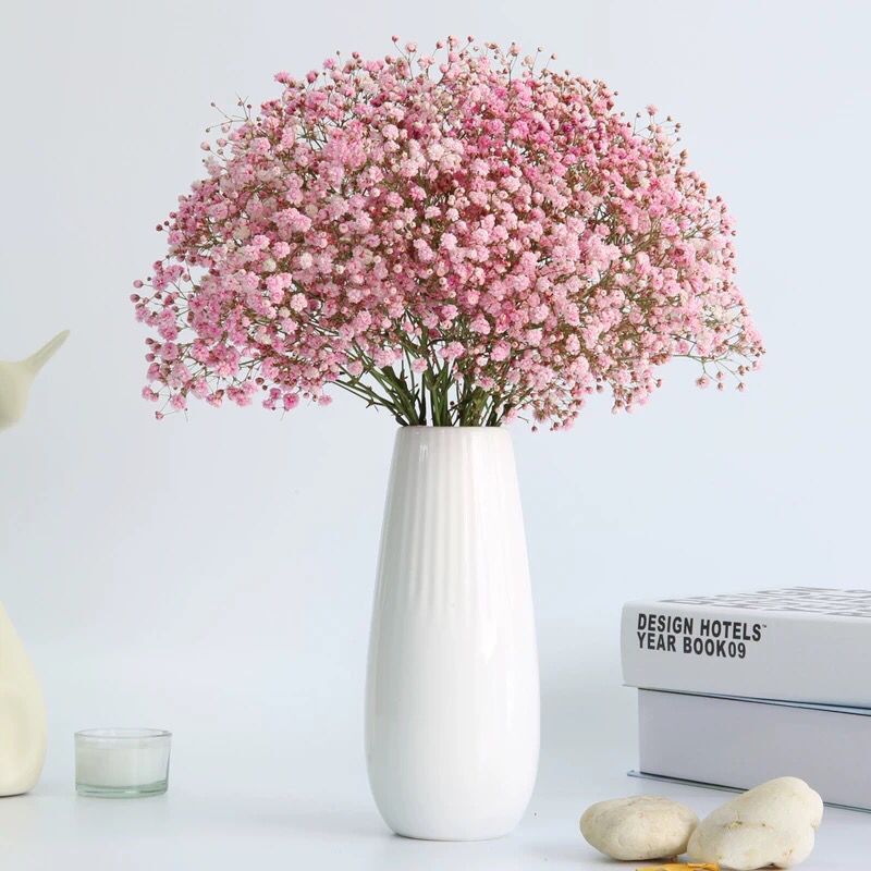 핑크 A 급 꽃 킬로의 무리