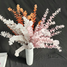 ������ɫ�ȼ��������ֹ��ٻ�DIY�廨��Y�Ҿ��b��Ĕz�������l