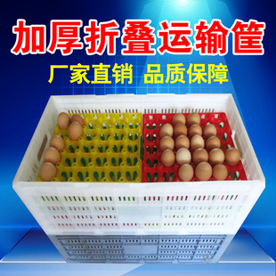 �羳���] �Bֳ��Ʒ ���������D�� ���ϚWʽ�ۯB��  �u�����P����