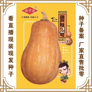 ���R��2̖F1С�Ϲ� �T�����N�繫˾ֱ�����������طNֲ�߲˷N��