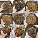 2025新茶正山小种金骏眉金俊眉散装红茶叶桂圆味500g茶厂批发直销