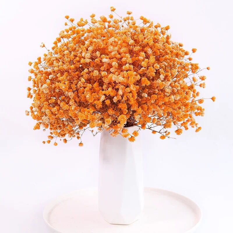 오렌지 학년 A 꽃 킬로의 무리