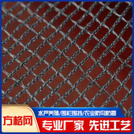 方格网  HDPE全新料农用防尘防风网18针日本防鸟防乌鸦网生产厂家