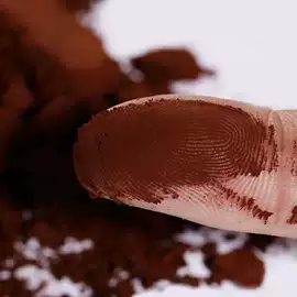 灵芝;盆景;其他农业