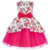 2024 Summer New Product Amazon Children's Children's Dresses Dress Net Speed Print Irregular Watersen Border Literary Gala