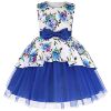 2024 Summer New Product Amazon Children's Children's Dresses Dress Net Speed Print Irregular Watersen Border Literary Gala