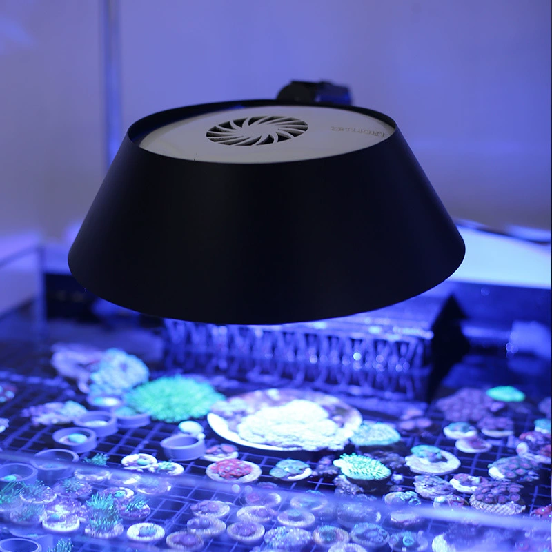 Пользовательское название: Jingfeng Listen to Sea Fish Tank Lantern Aquarium Lantern Sunshine Gee Apollo Apolo Keloai26 Jae Light Flying Small Lantern