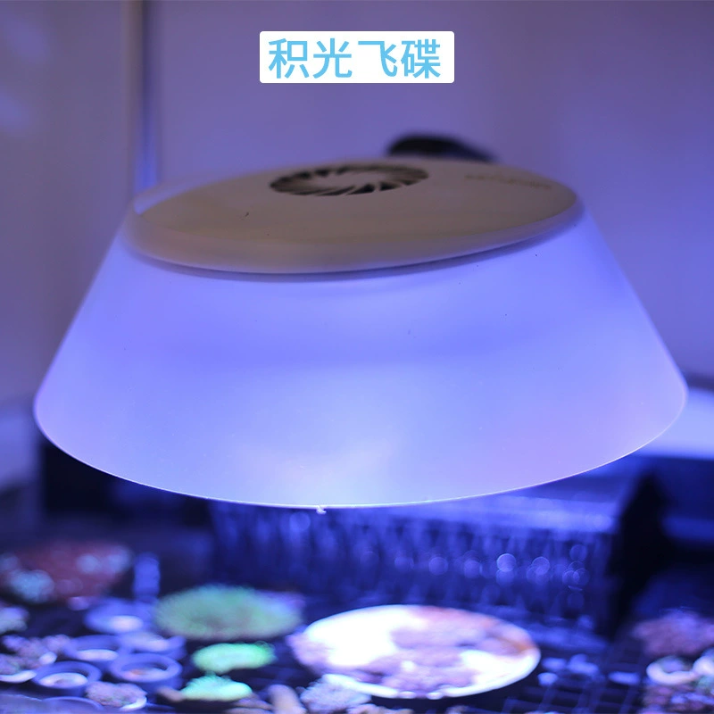 Пользовательское название: Jingfeng Listen to Sea Fish Tank Lantern Aquarium Lantern Sunshine Gee Apollo Apolo Keloai26 Jae Light Flying Small Lantern