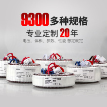 厂家货源 EEIO圣元500W环形变压器12V/24V 双绕组环形电源变压器