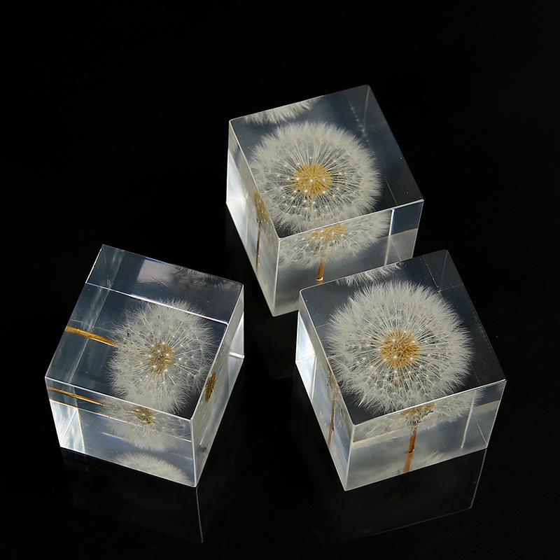 Resin Paperweight Dandelion Specimen Crystal Ball Cube Ornament Valentine's Day Gift Practical Small Gift Resin Paperweight Dandelion Specimen Crystal Ball Cube Ornament Valentine's Day Gift Practical Small Gift