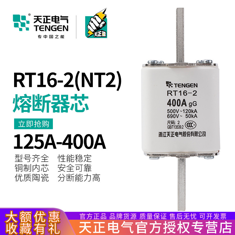 TENGEN天正RT16-2熔断器NT2熔芯RT36-2保险丝250A315A350A400A