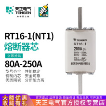 TENGEN天正电气RT16-1熔断器NT1芯RT36-1保险丝125A160A200A250A