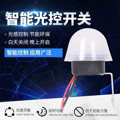 光控开关AS-20智能自动晚上亮户外光敏感应防雨路灯控制器220V12V|ms