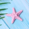 [粉紫海星]