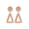 Fashionable trend accessory, metal matte earrings, European style