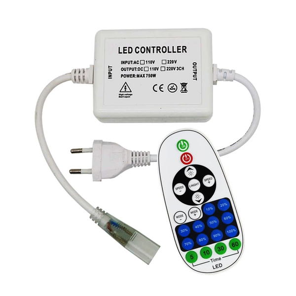 RF remote control + plastic case (non-Bluetooth)