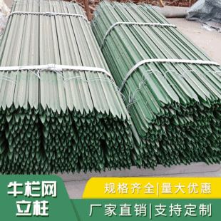 ţ�ھW���� ����T�������������Bֳ�W ��ԭ�Bֳ�����������p�@��