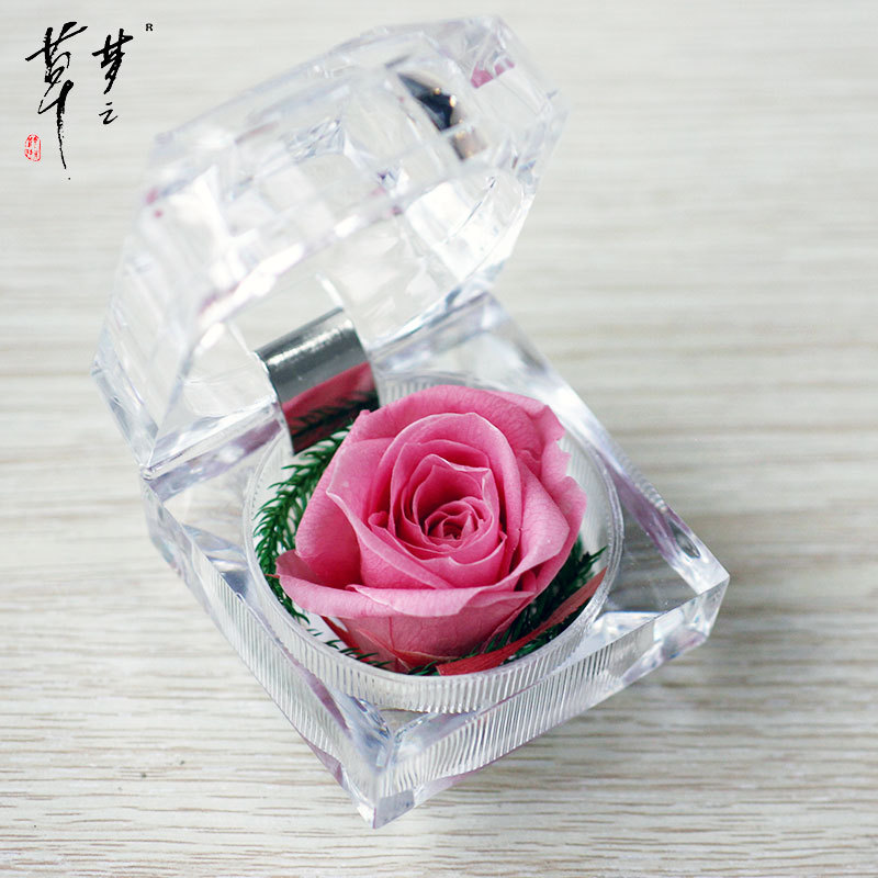 Cristal Rosa acrílico flor eterna caja de regalo confesión flor real regalo del Día de San Valentín Amazon