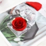 情人节亚克力生日活动永生花