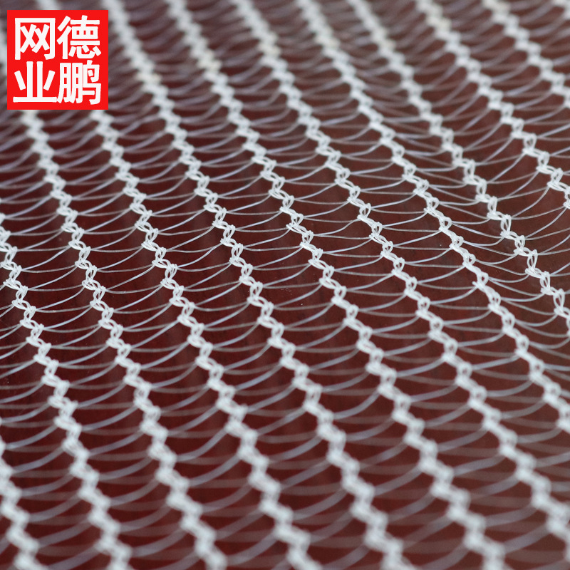 防雹网 苹果果园防鸟防雹防虫网 菱形0.8月牙形 外贸厂家现货直供