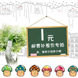 运费补 拍补 差价用链接，谨慎拍下可联系客服