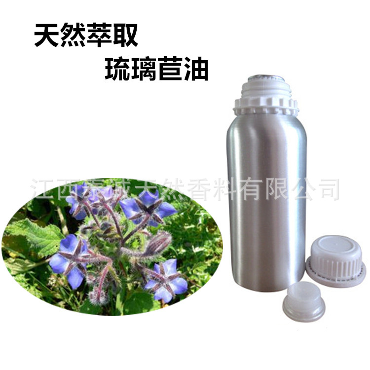 供应琉璃苣油 琉璃苣籽冷榨萃取工艺 琉璃苣油