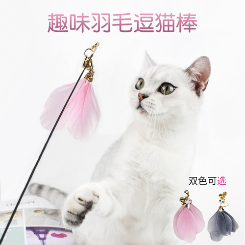 Cat toy with feathers, bells, fairy wands, long rods, cat-loving cat supplies, steel feathers