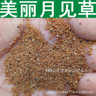 ݻ ҊݷN ҹ ѲݷN ۻҊ 1=1