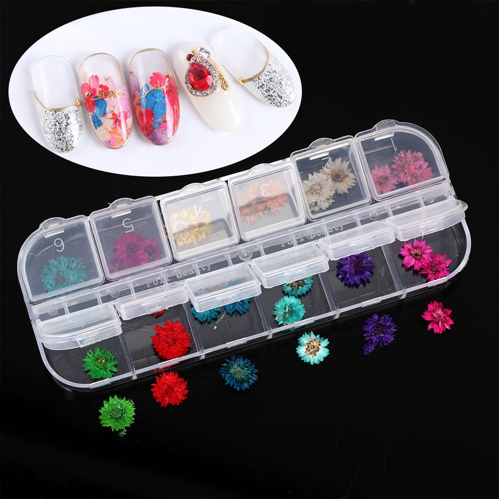 Nailo jewelry dried flower 12 color real flowers
