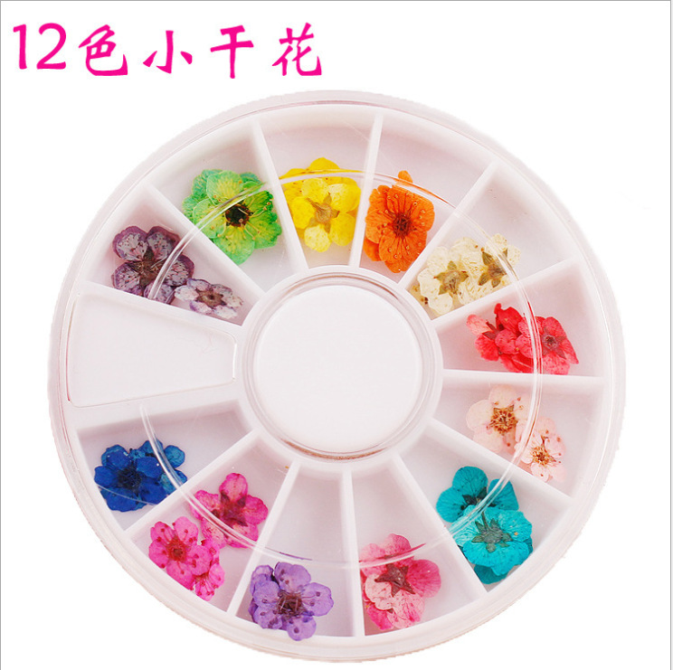 Nail 12 -color dried flowers nail box dry flower nail jewelry nail…