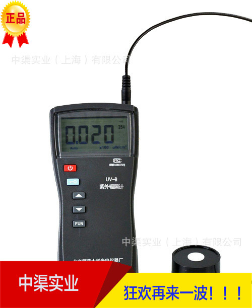 UV-B型紫外辐照计(单通道) 紫外线强度计 师大牌UVB辐照仪