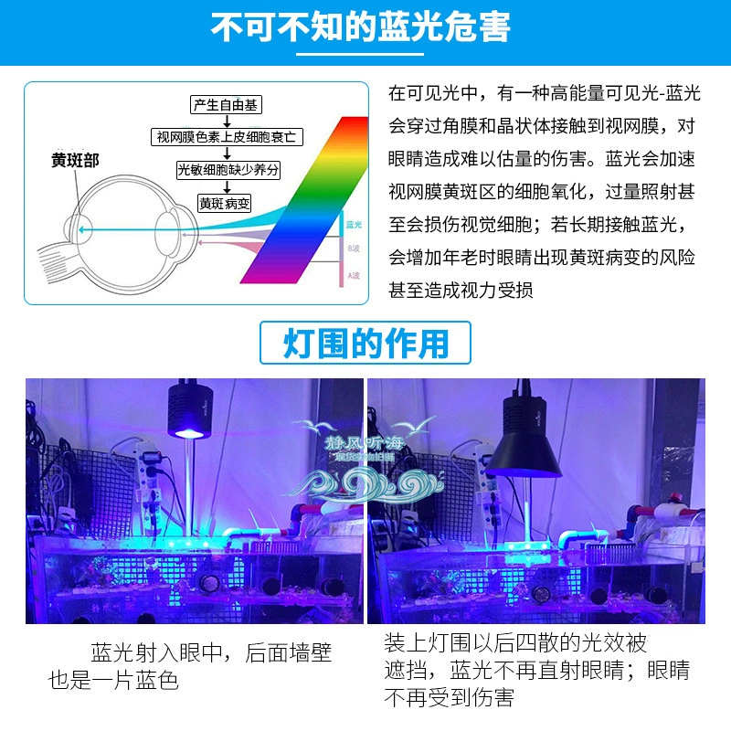 Пользовательское название: Jingfeng Listen to Sea Fish Tank Lantern Aquarium Lantern Sunshine Gee Apollo Apolo Keloai26 Jae Light Flying Small Lantern
