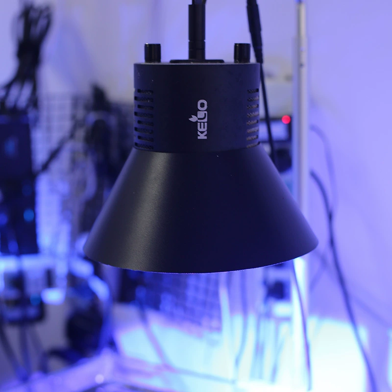 Пользовательское название: Jingfeng Listen to Sea Fish Tank Lantern Aquarium Lantern Sunshine Gee Apollo Apolo Keloai26 Jae Light Flying Small Lantern