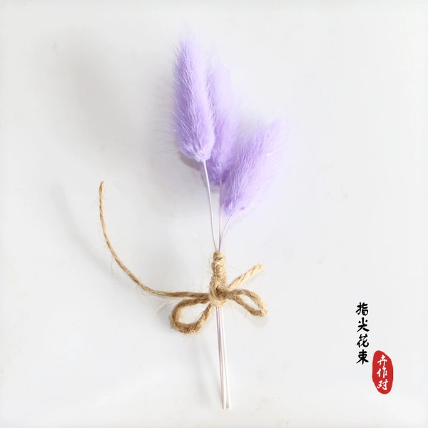 Rabbit Tail Purple Purple