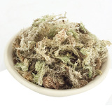 Оптовая цветочная почва в горшке и мясисто