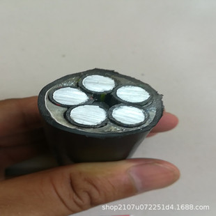 �ӱ���|�S��ֱ�N ZC-YJLHV90-5&times;16 ·���������X�Ͻ������|