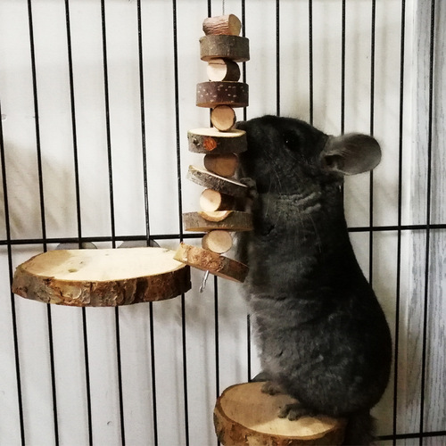 Parrot chewing skewers, apple wood chewing skewers, hamster chewing toys, chinchilla log molar skewers, rabbit supplies