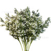 Fresh realistic starry sky, decorations, props, wholesale