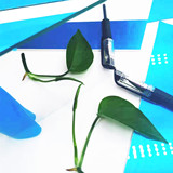 Индивидуальный фильтр световой прибор прибор Оптическая стеклянная плоскость с высокой пропущенной визуализацией.