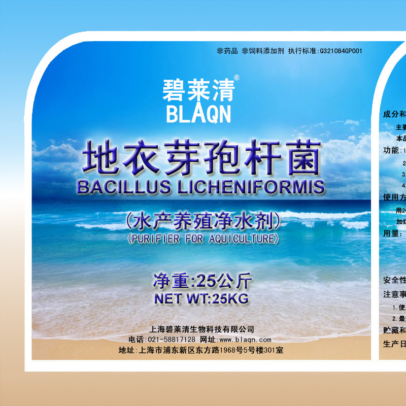 地衣芽孢杆菌菌粉  碧莱清地衣芽孢杆菌 水产养殖净水剂