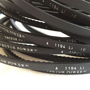 ������ɫ�к��_VECTOR POWER �X�����ǎ� A AX B BX C CX D DX