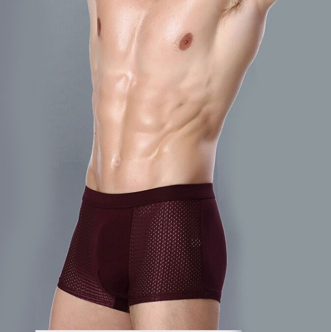 Ropa interior de los hombres delgados verano malla sexy ropa interior de malla transparente transpirable seda de hielo juventud boxeadores shorts cabeza