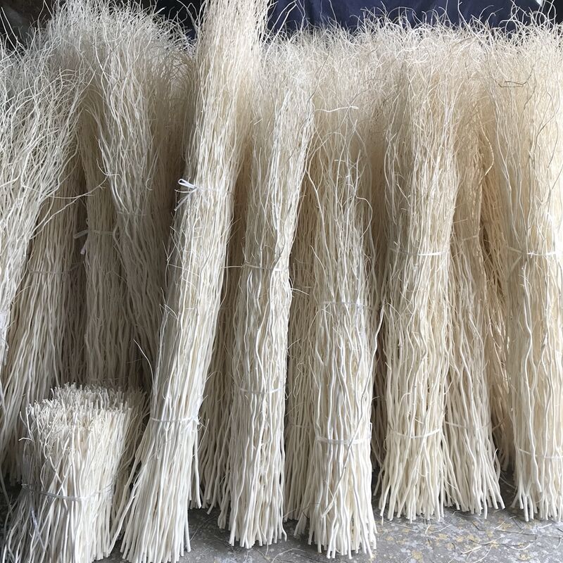 Natural White Dragon Willow Dried Branches Decoration Wedding Wedding Yunlong Willow Dried Branches Window Decoration Dragon Willow Branches Lighting