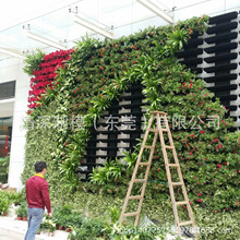 �M��ʽ���̾Gֲ�� �Ԅ�ˮѭ�hֲ��G��  �������������