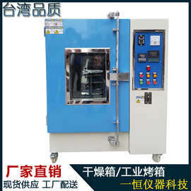 热风循环高温烘箱 电热恒温鼓风干燥箱 工业烤箱 烘干箱厂家