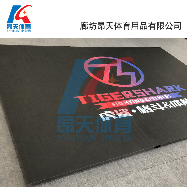 Factory supply leather foam family Hall fast stitching roll mat wrestling mat training mat