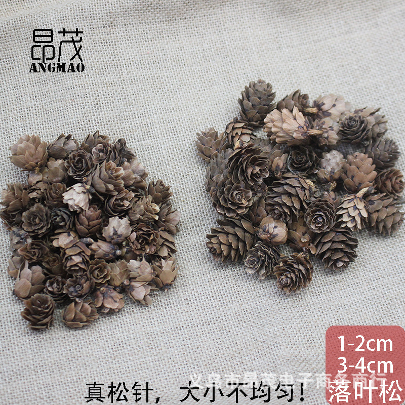1-2cm3-4cm大兴安岭优质自然落叶松果圣诞迷你松果手工艺品原材料