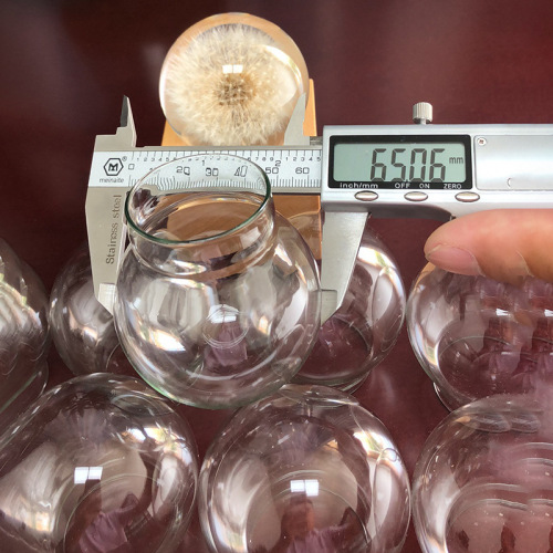 Supply eternal flower glass dome ball glass dome DIY landscape dust cover micro landscape transparent glass dome