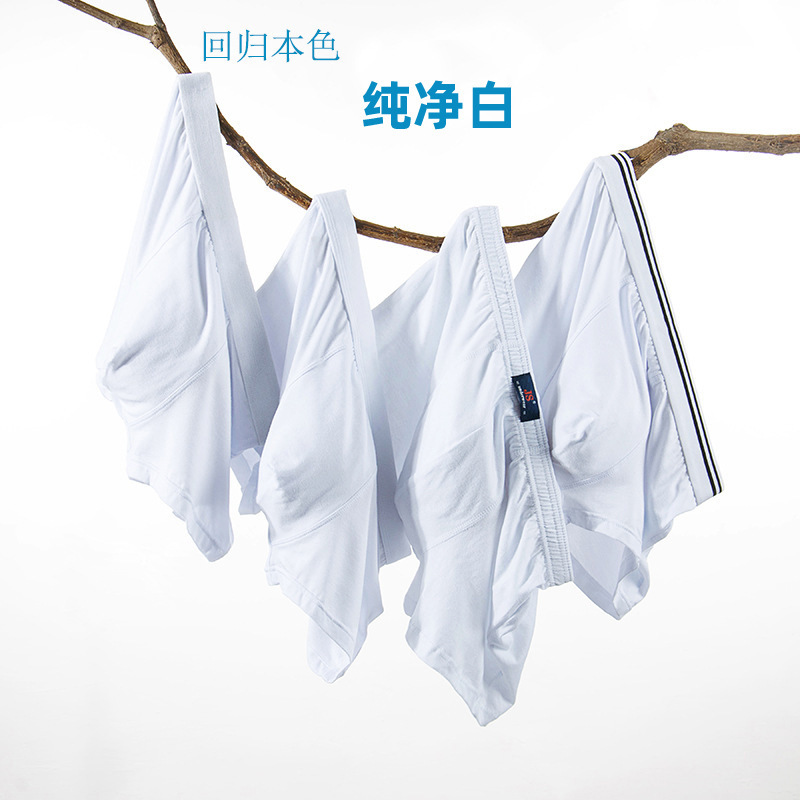 Modal Men's White Underwear Bamboo Fiber Boxers Mid-Waist Comfortable Breathable Four Corner Shorts Shallow Wedding Photo